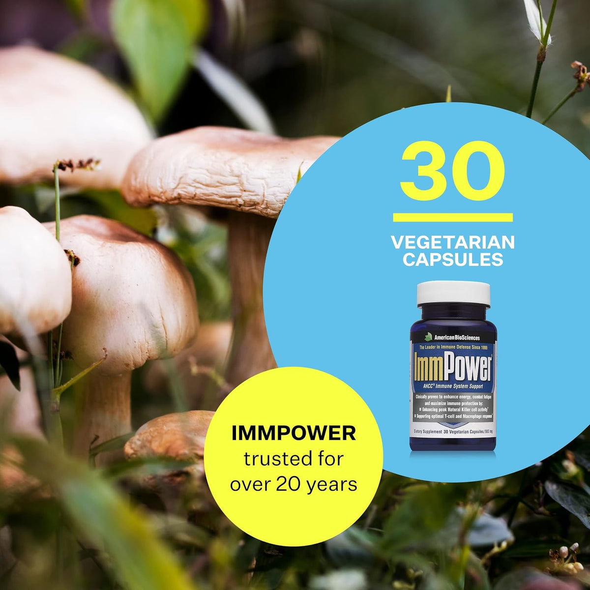 American BioSciences ImmPower AHCC Supplement, Vegetarian Capsules, Enhanced Immune Support, Natural Killer Cell Activity and Cytokine Production, 500 milligrams per Capsule (30 Count)