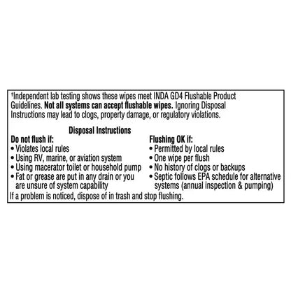 Equate Extra Large Flushable Wet Wipes, Fragrance Free, Gentle Cleansing Bathroom Wipes, 144 Count, 3 Pack